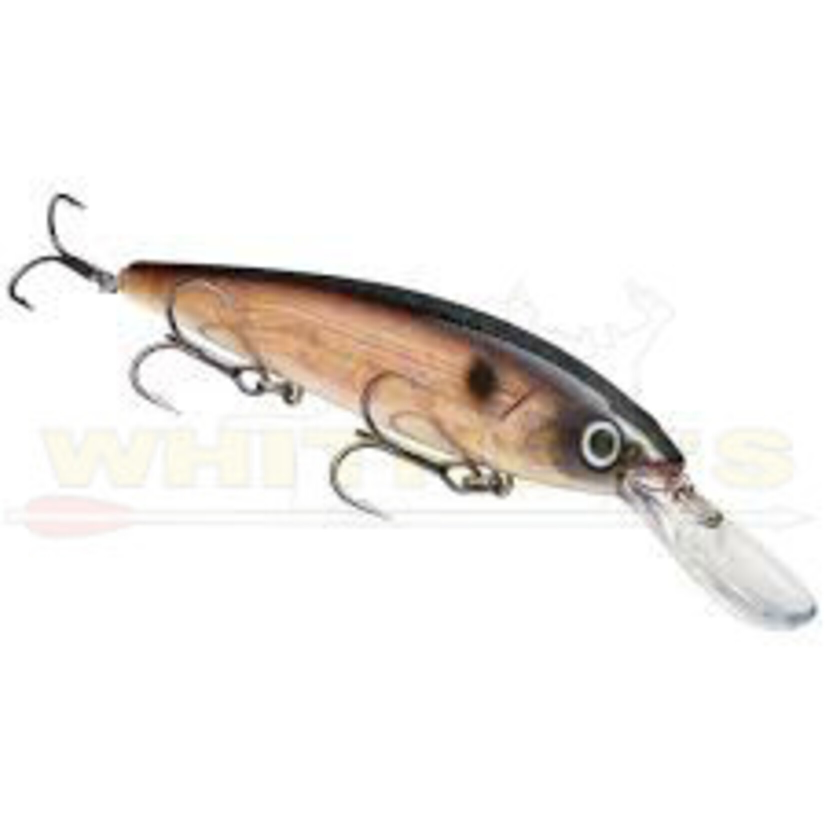 Strike King Strike King KVD Jerkbait Deep 300