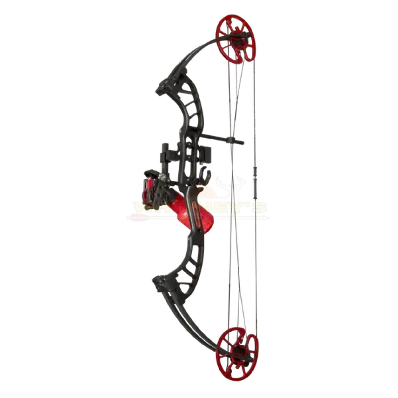Cajun Archery Cajun Bowfishing Shore Runner EVW