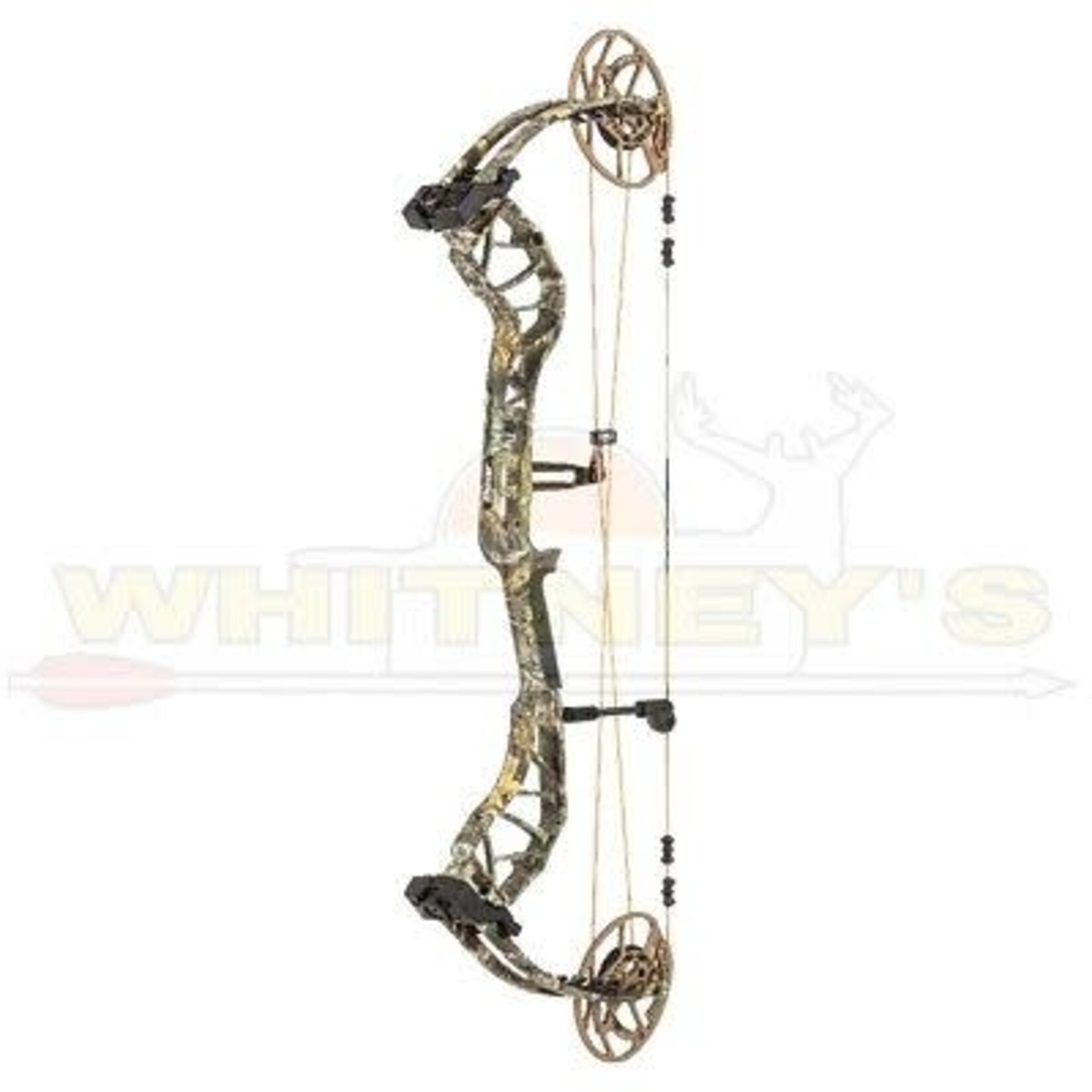 Bear Archery Bear Divergent RH/70# Realtree Edge