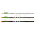 Killer Instinct Killer Instinct Lighted 20" Crossbow Bolts, 3PK
