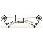 Compound Bows
