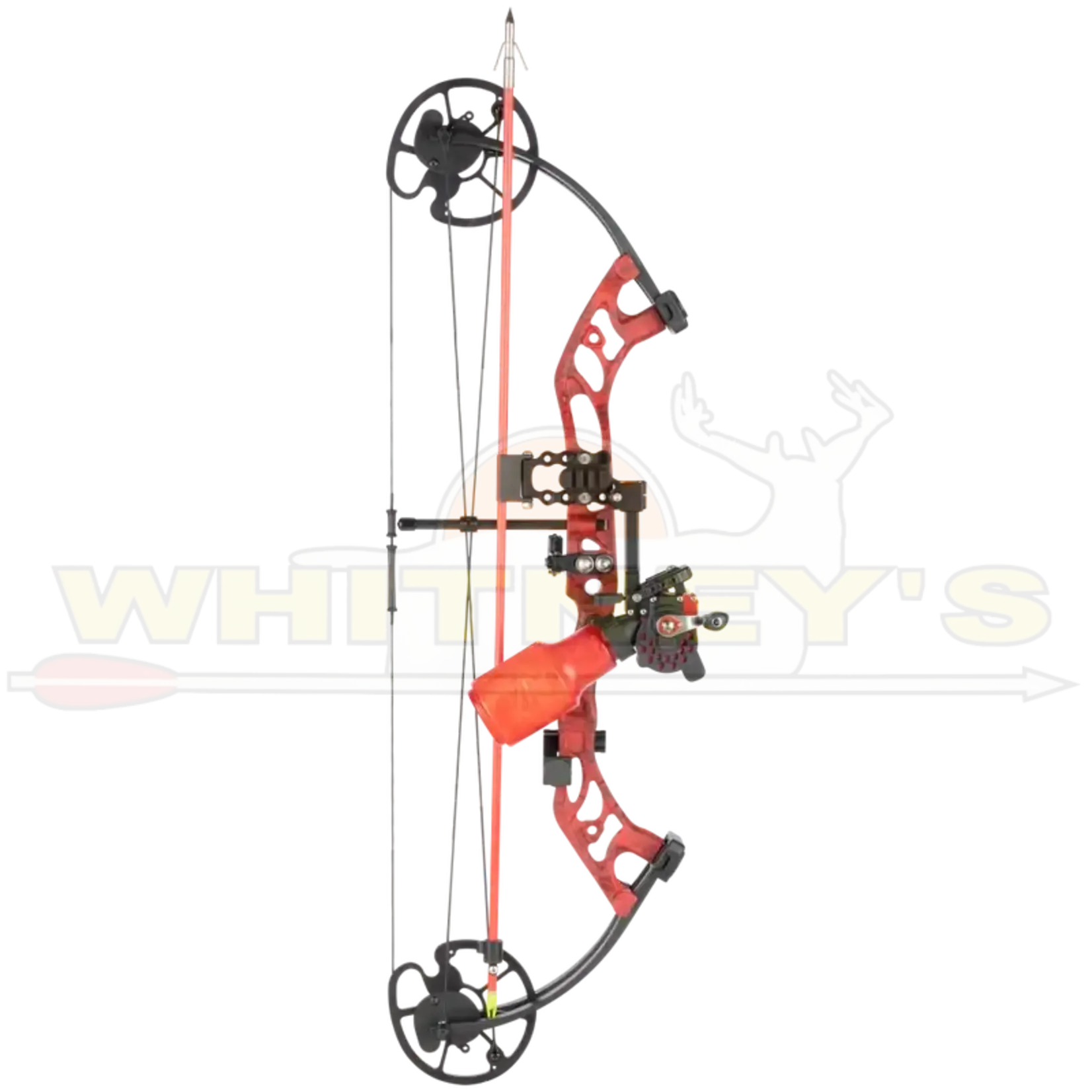 Cajun Archery Sucker Punch Pro RTF