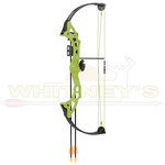 Bear Archery Bear Brave Youth Bow