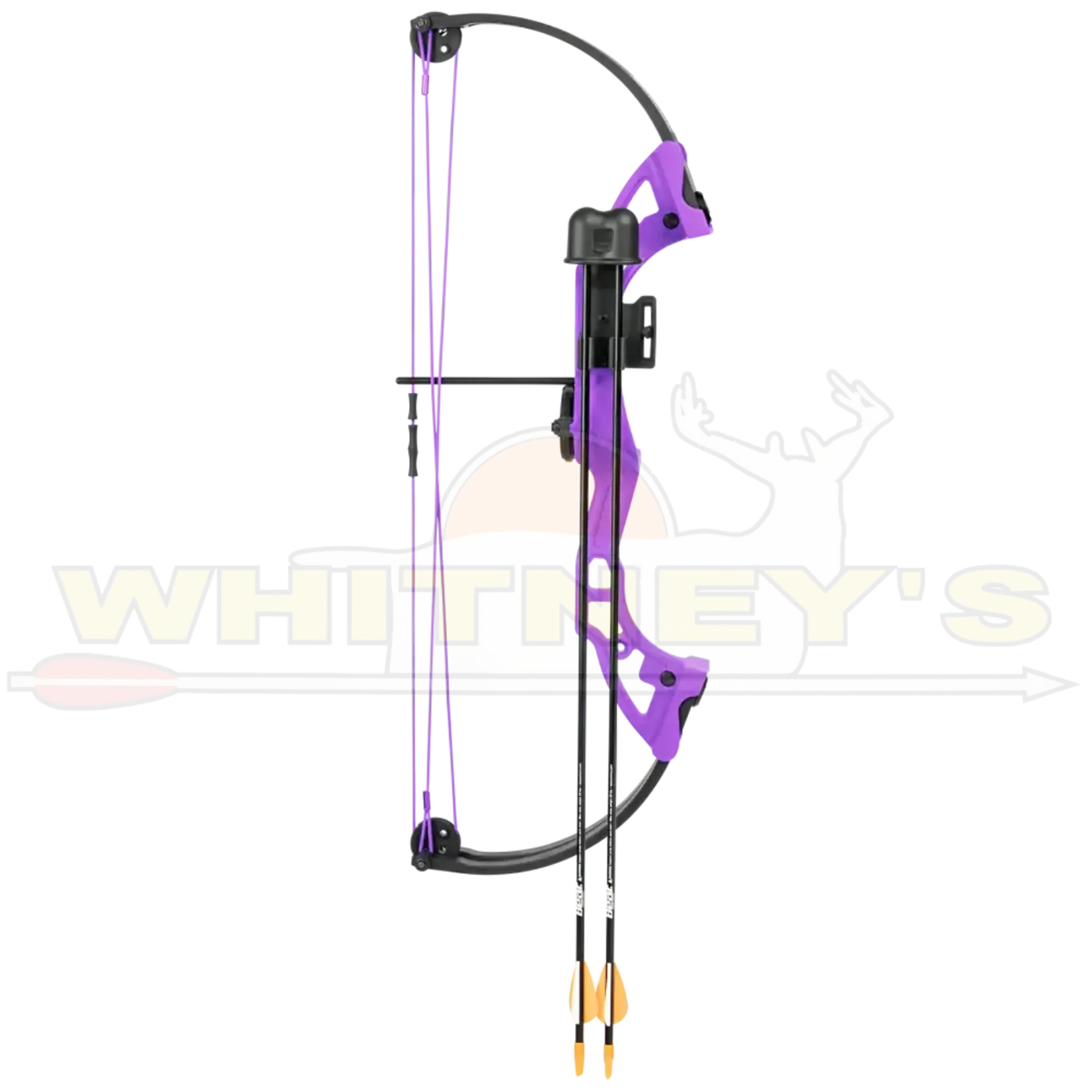 Bear Archery Bear Brave Youth Bow