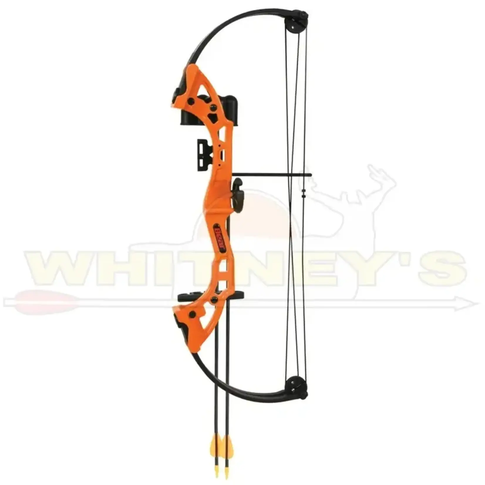 Bear Archery Bear Brave Youth Bow