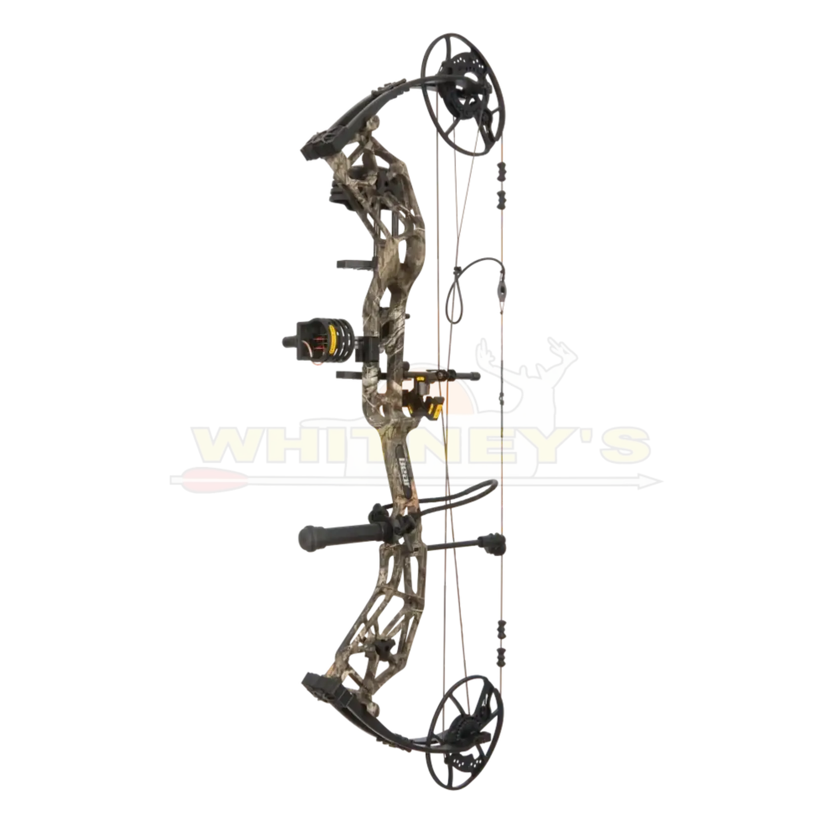 Bear Archery Bear Paradigm RTH