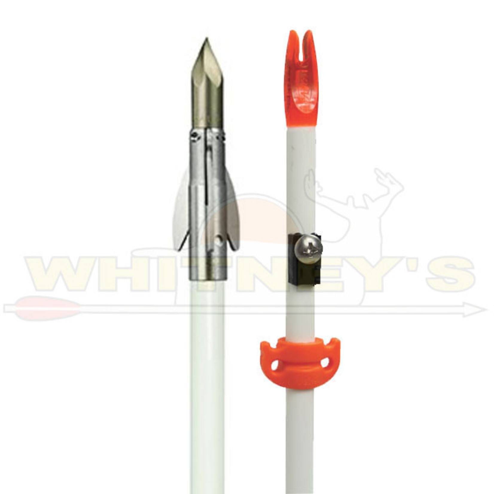 AMS AMS Bowfishing  AnKor FX Fiberglass Arrow A206-