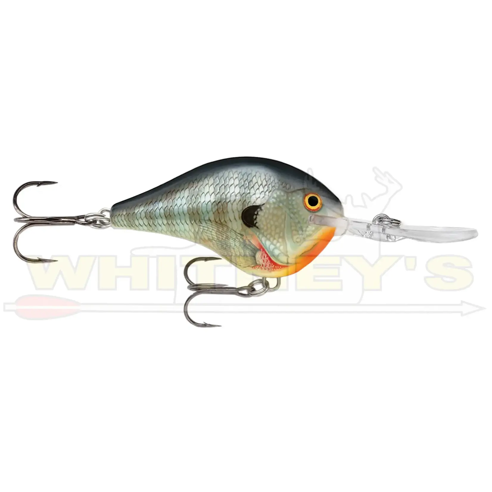 Rapala Rapala Dives-To (DT) Series