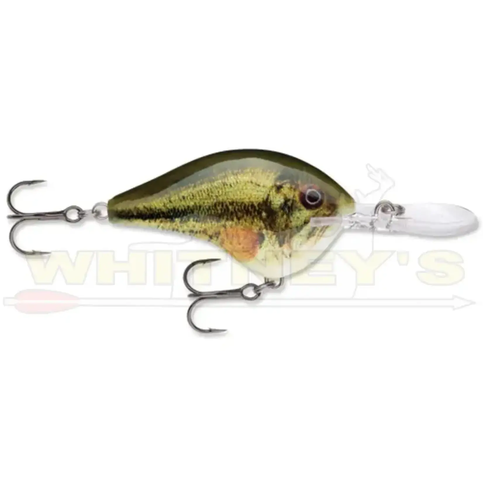Rapala Rapala Dives-To (DT) Series