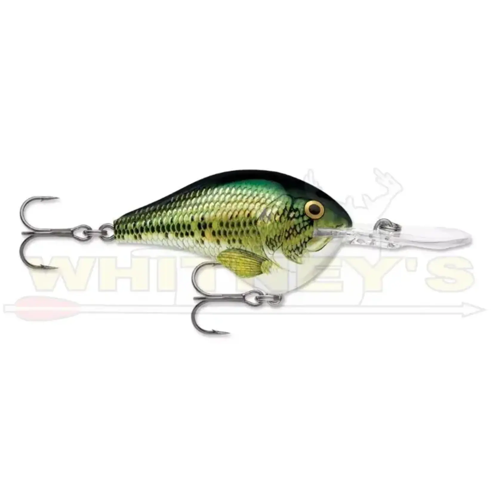 Rapala Rapala Dives-To (DT) Series