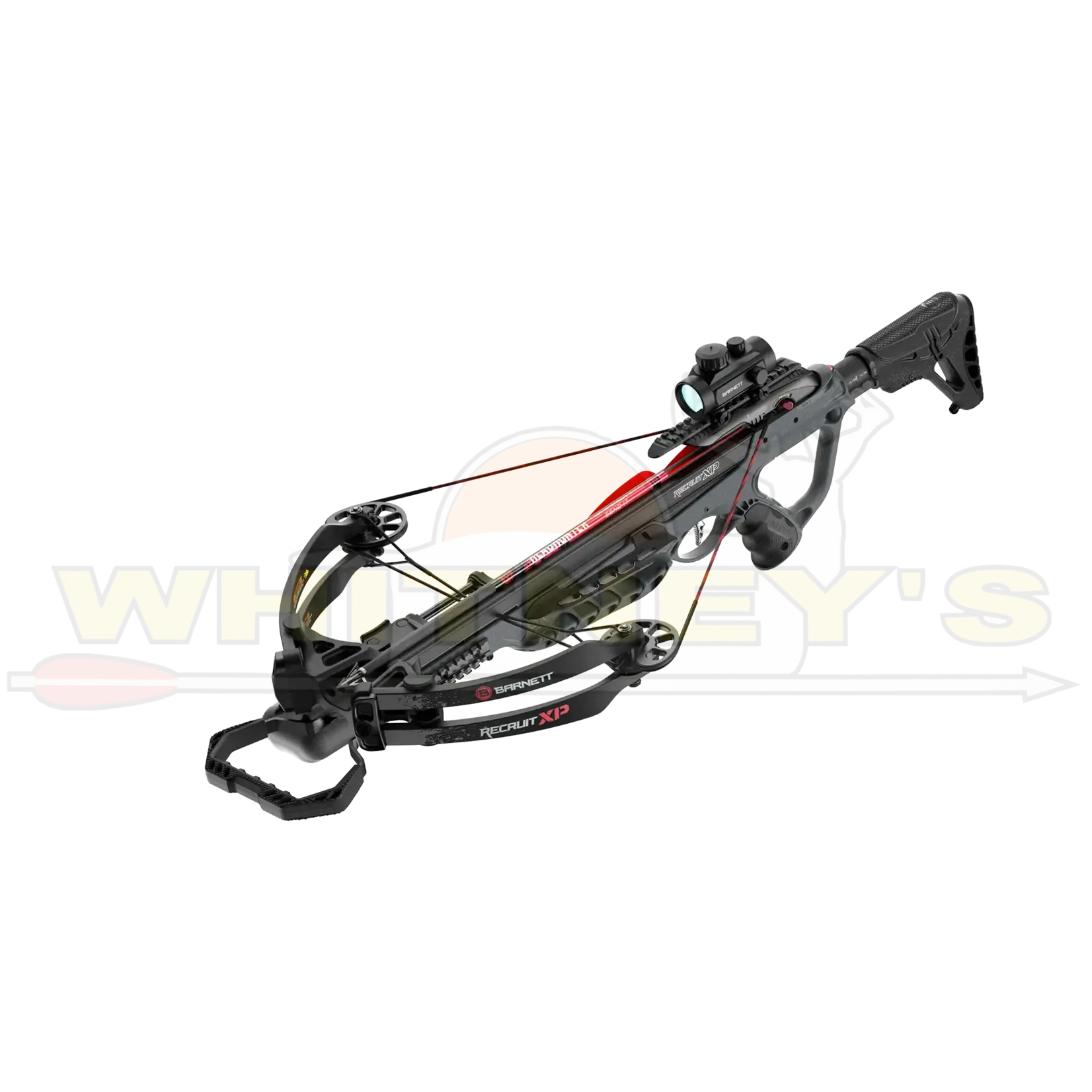 Barnett Outdoors LLC Barnett Explorer Recruit XP Crossbow