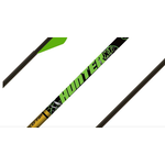 Gold Tip Gold Tip Hunter XT - 250 - 2" Raptor Vanes - Dozen