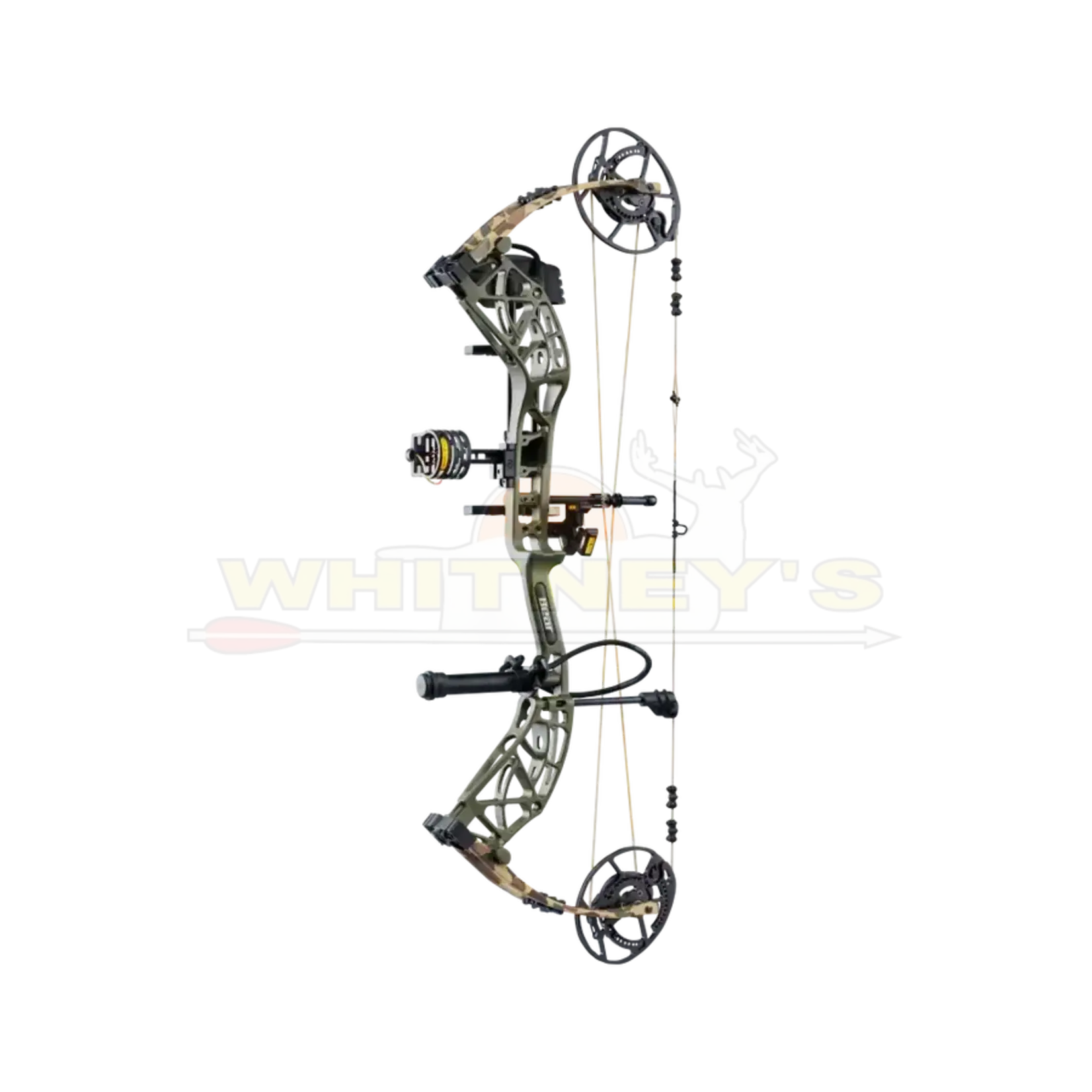 Bear Archery Bear Whitetail INT RTH