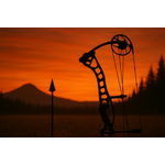 Compound Bows