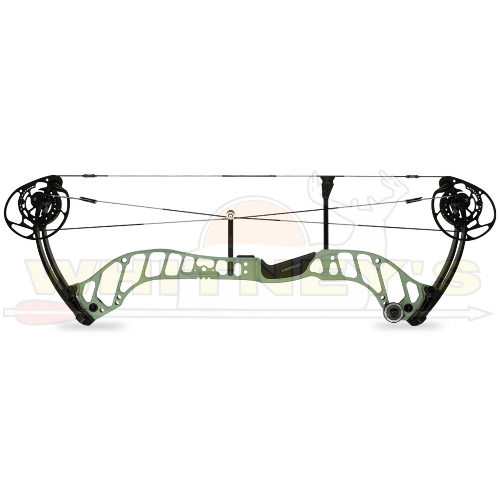BowTech Bowtech Ascend Bow