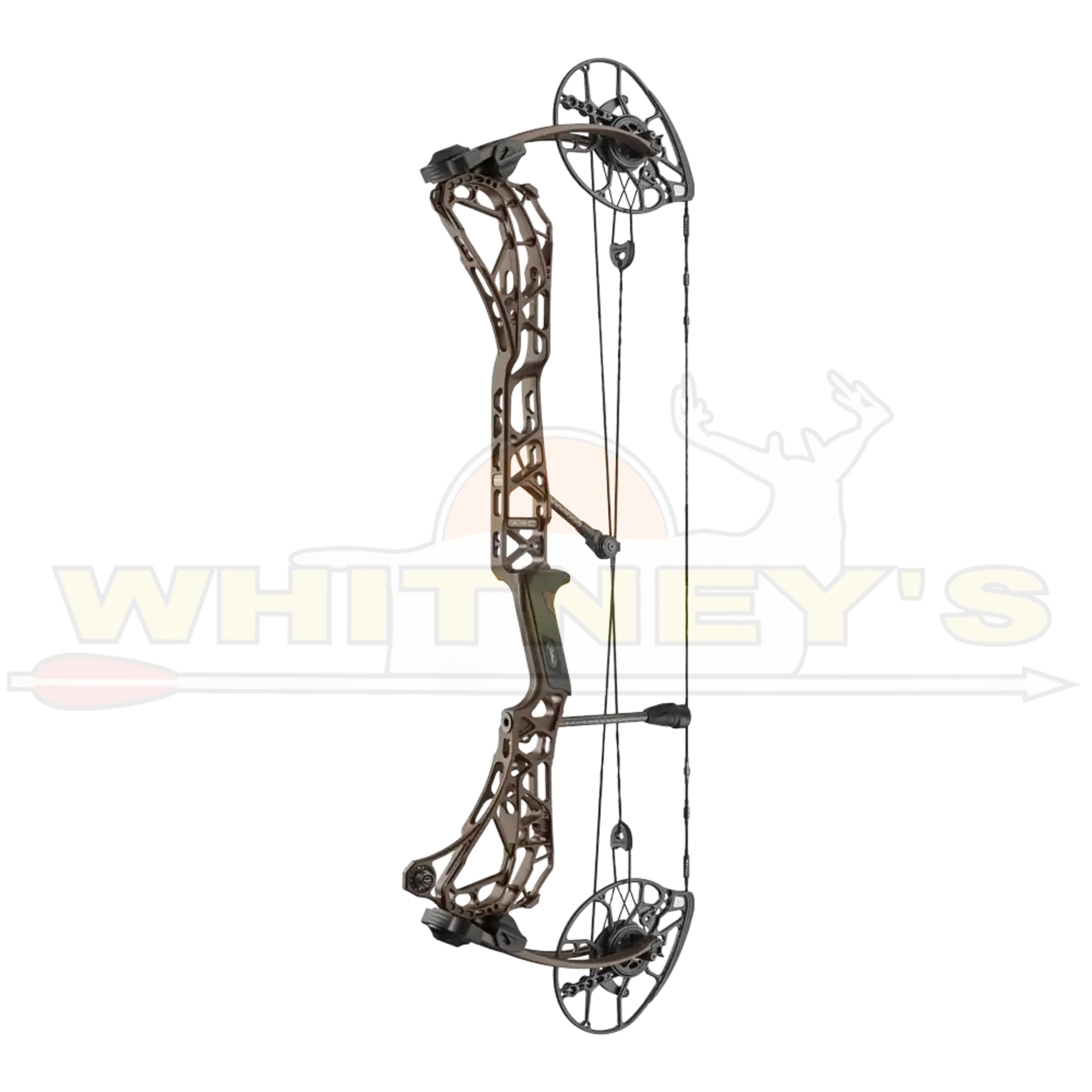 Mathews Mathews Arc 30  70#