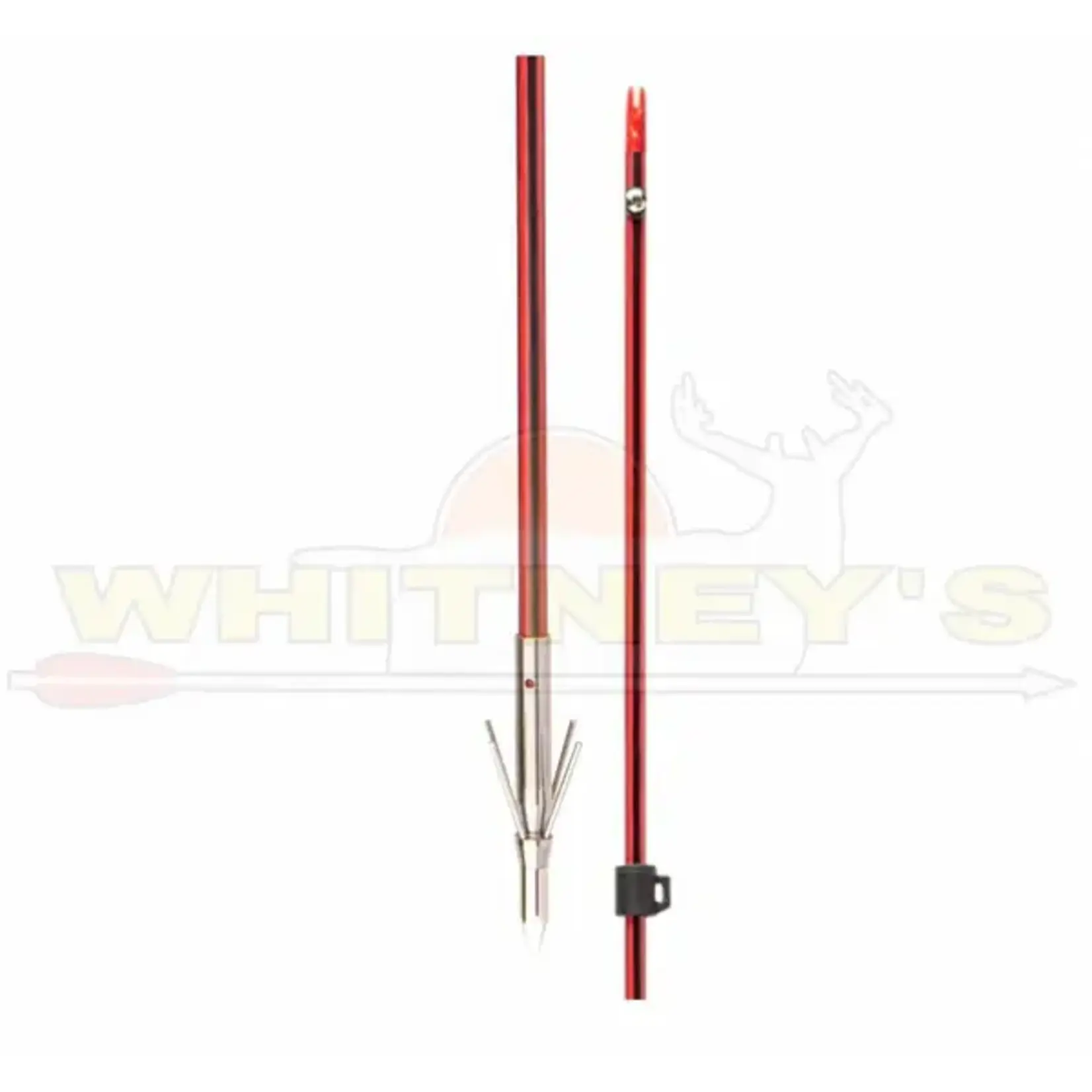 Cajun Archery Cajun Fiberglass Arrow W/ 4 Barb Stinger- ABF24LSA
