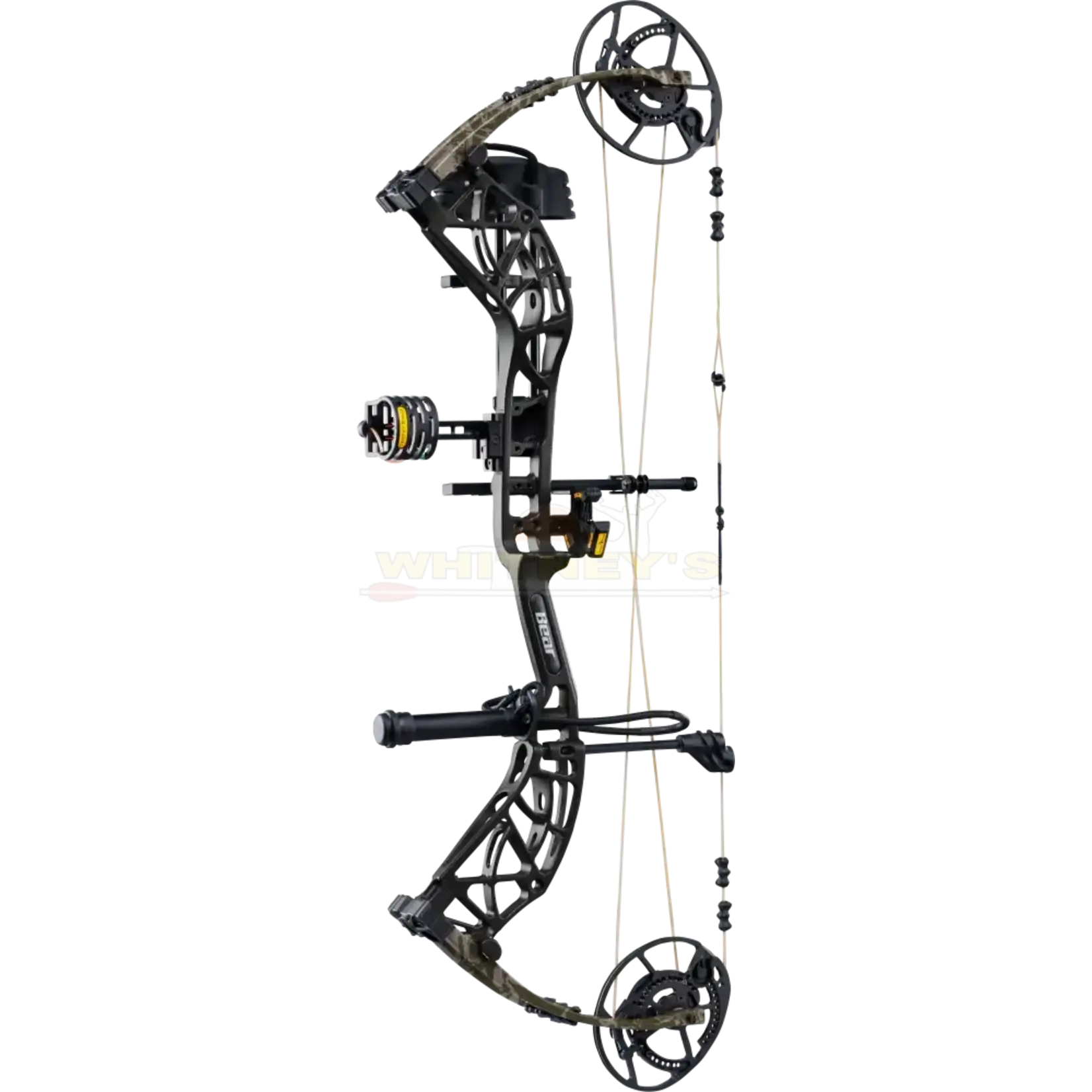 Bear Archery Bear Whitetail INT RTH