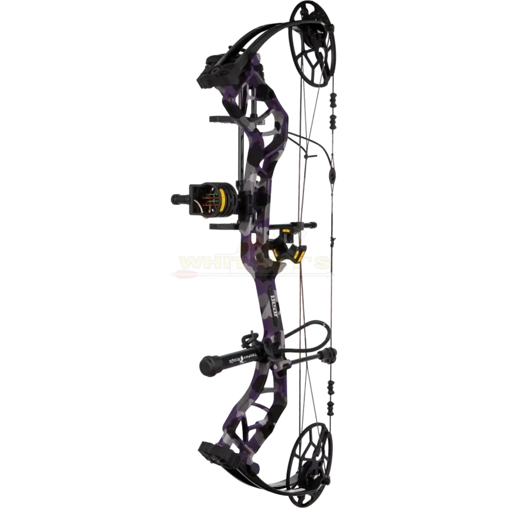 Bear Archery Bear Legit Maxx RTH