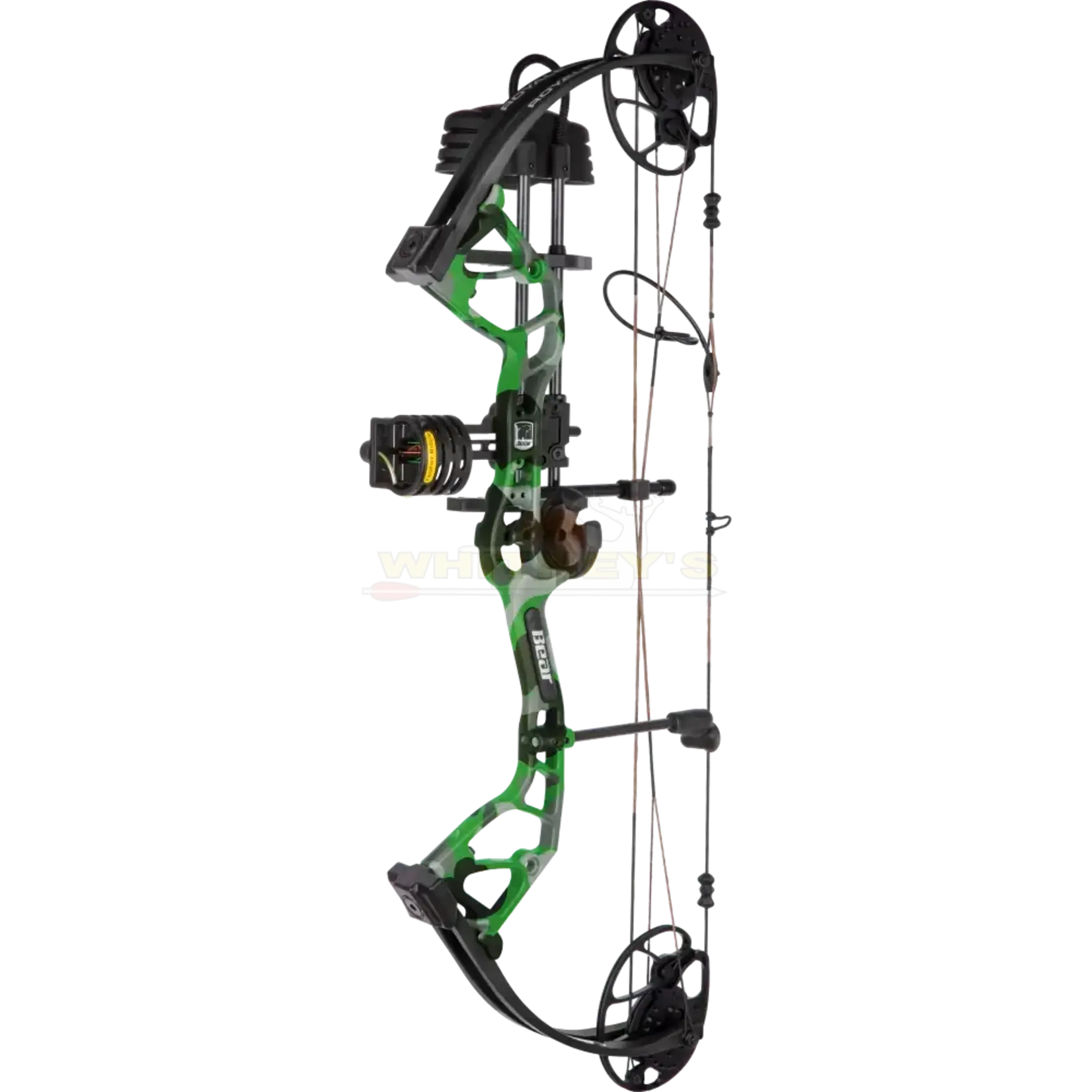 Bear Archery Bear Royale RTH 5-50#