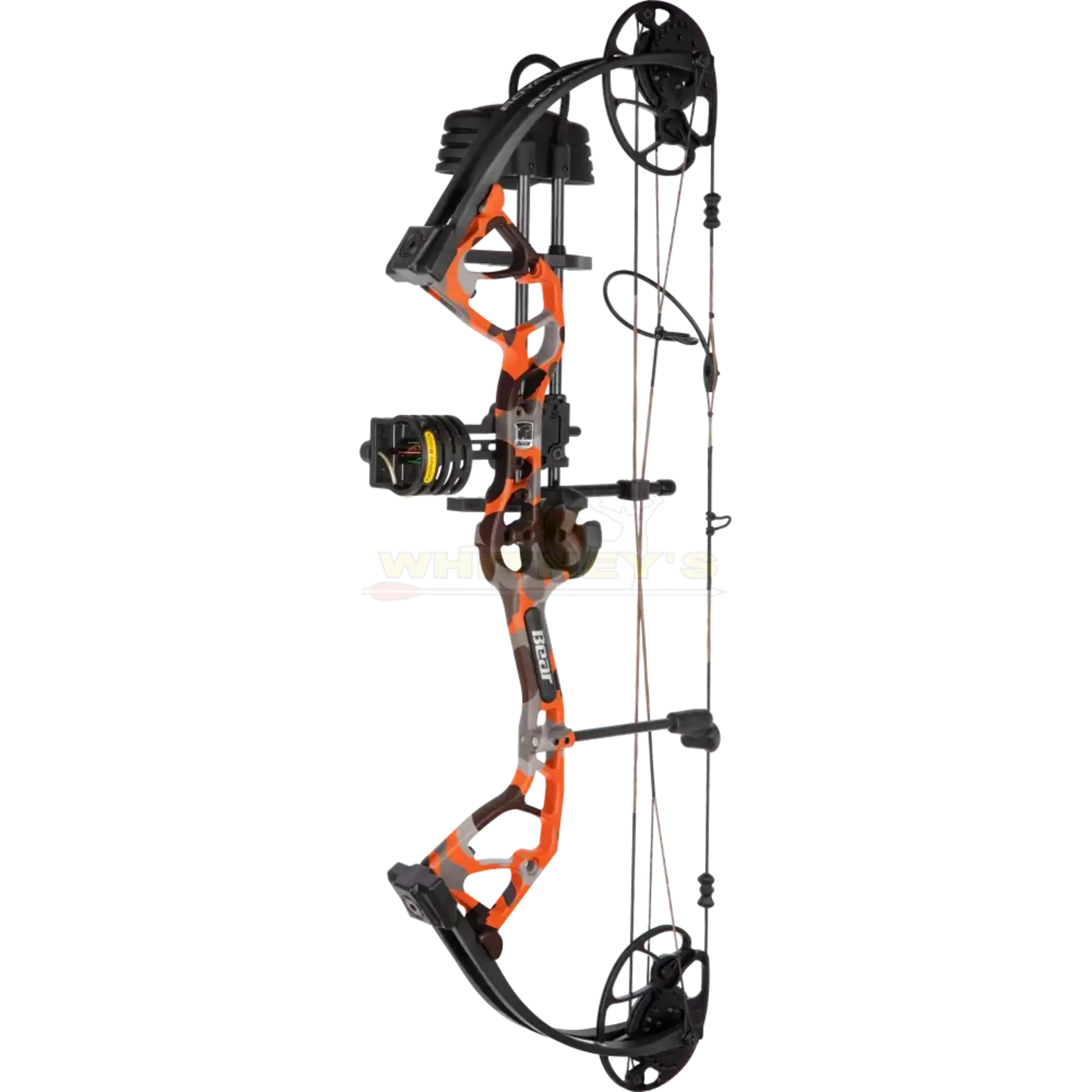 Bear Archery Bear Royale RTH 5-50#