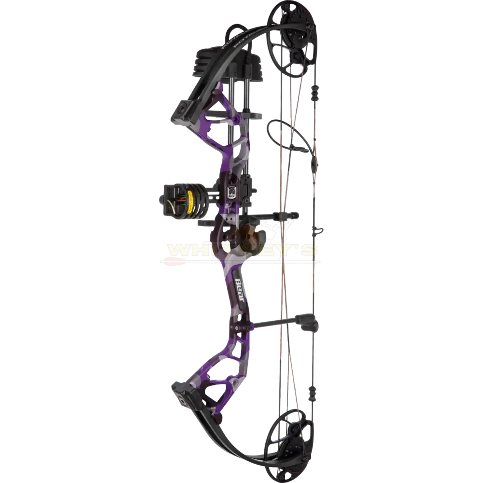 Bear Archery Bear Royale RTH 5-50#