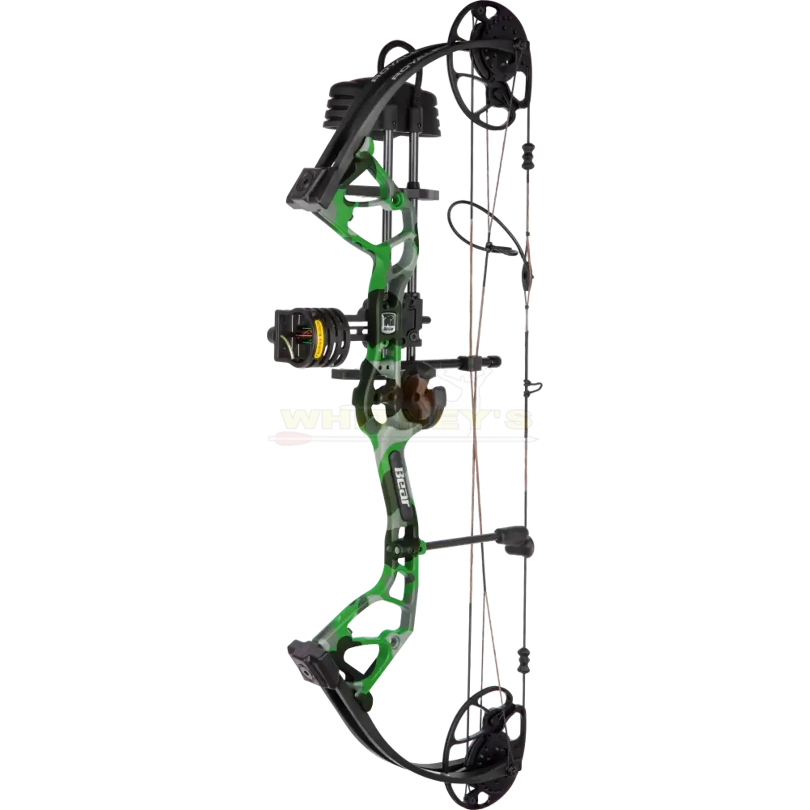 Bear Archery Bear Royale RTH 5-50#