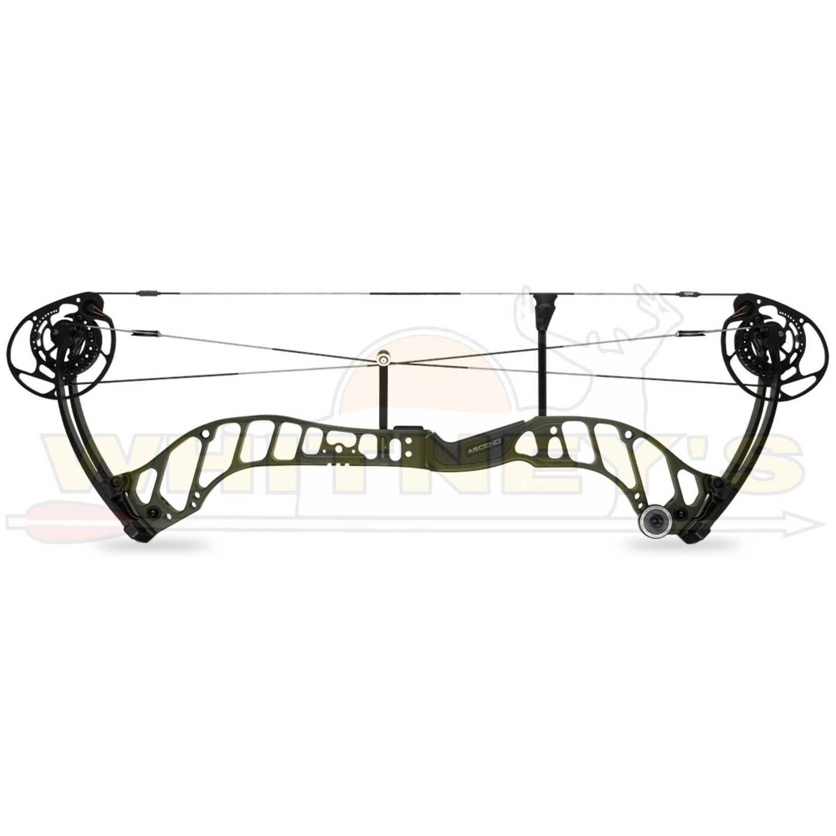 BowTech Bowtech Ascend Bow