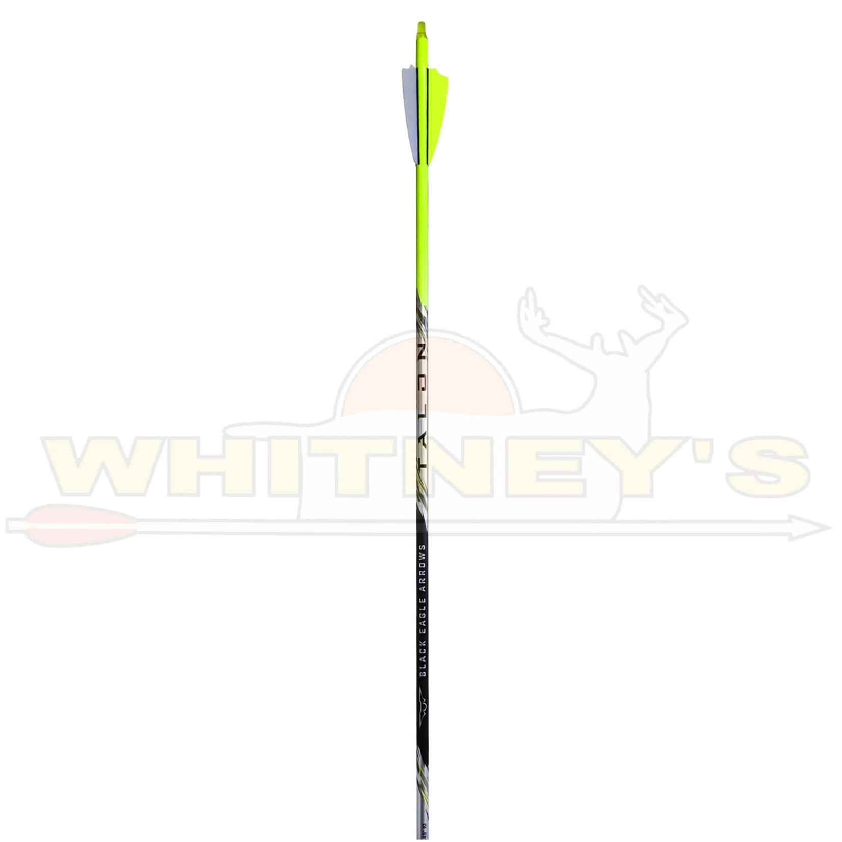 Black Eagle Black Eagle Talon 2.5" Shield Cut .003 Arrows, 6PK