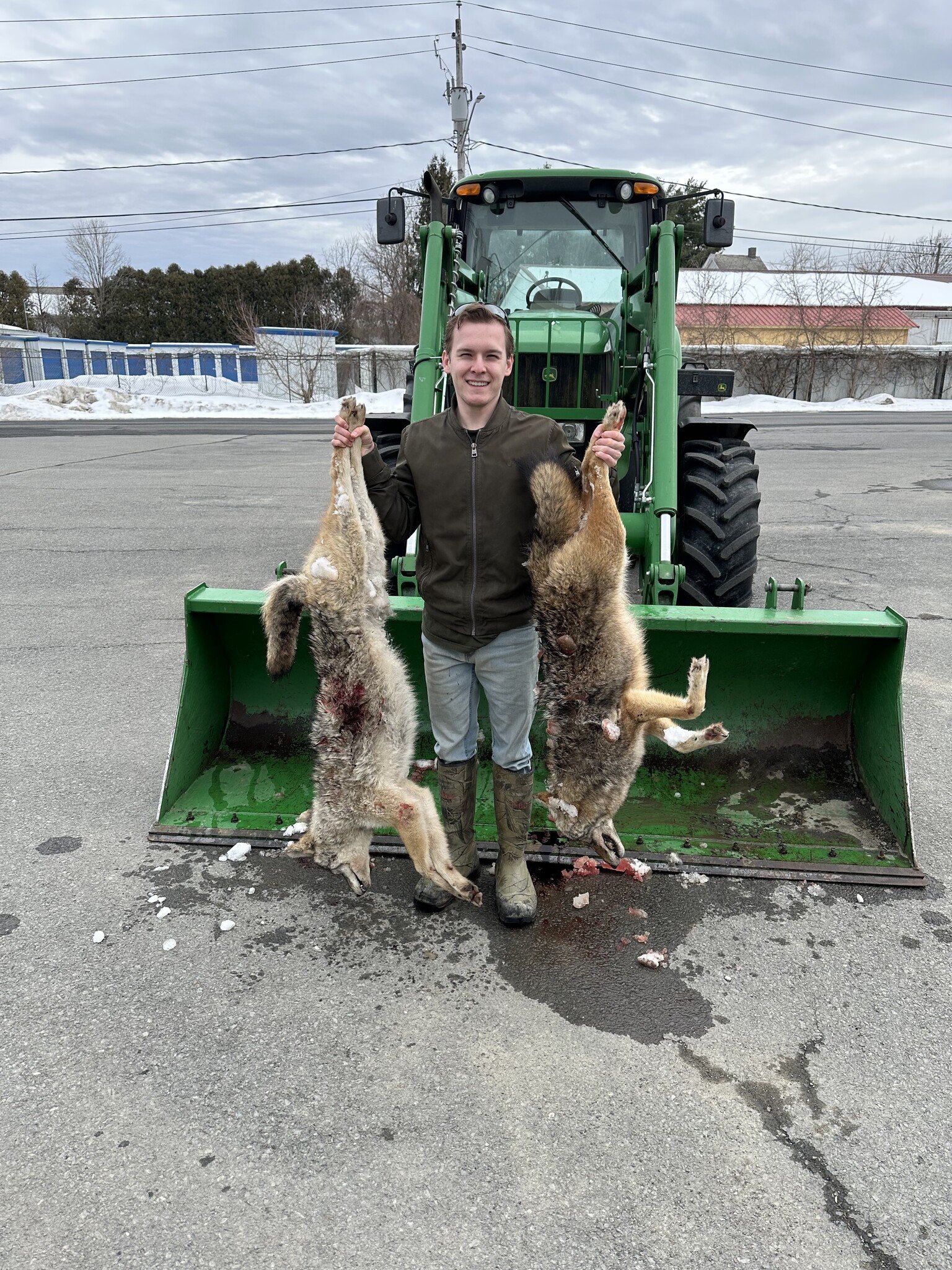 Two Coyotes Down 