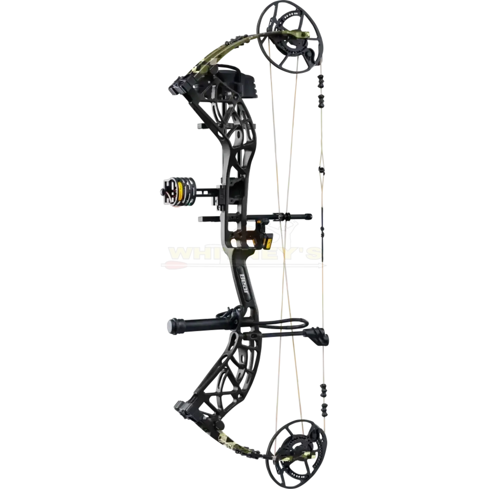 Bear Archery Bear Whitetail INT RTH