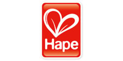 Hape Toys