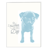 Ooly Hip Baby Cards - Blank