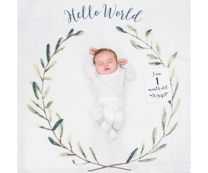 Milestone Blanket Set Hello World Wreath