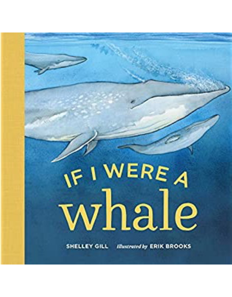 Random House If I Were a Whale Board Book