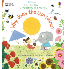 Usborne Lift-The-Flap First Questions And Answers Why Does The Sun Shine?