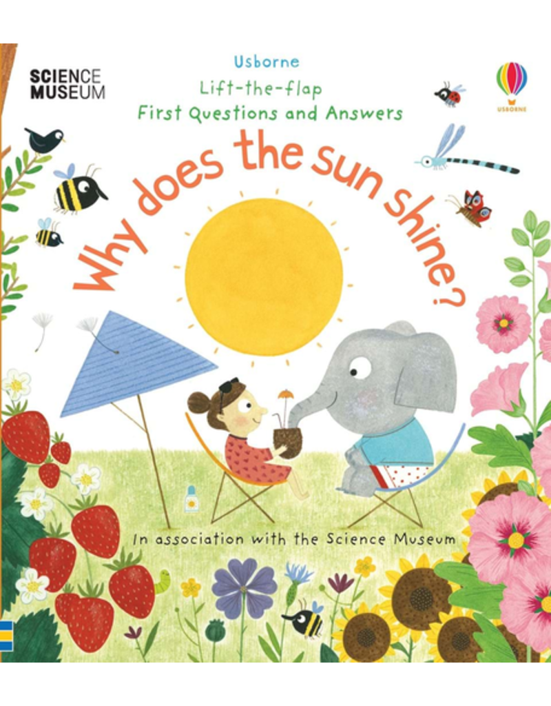 Usborne Lift-The-Flap First Questions And Answers Why Does The Sun Shine?