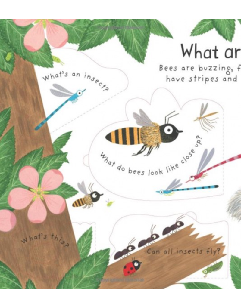Usborne Lift-The-Flap First Questions And Answers: Why Do We Need Bees?
