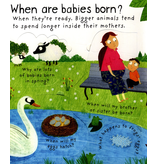 Usborne Lift-the-Flap Where Do Babies Come From?