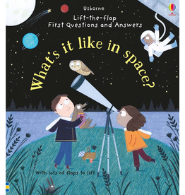 Usborne Lift-the-Flap What Is it Like in Space?