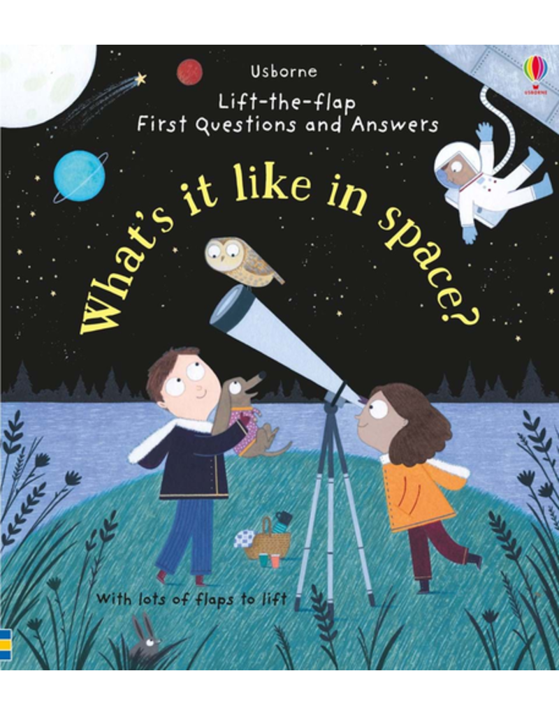 Usborne Lift-the-Flap What Is it Like in Space?