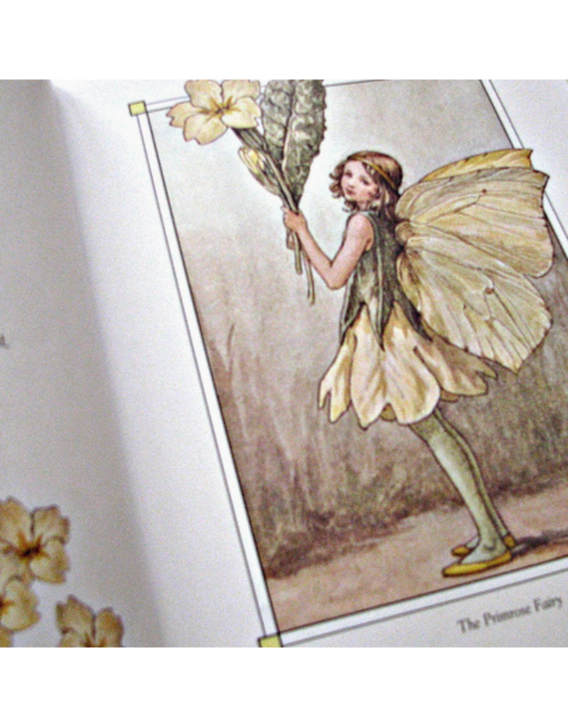 Random House The Complete Book of the Flower Fairies