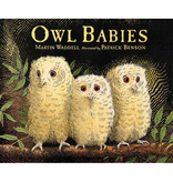 Random House Owl Babies