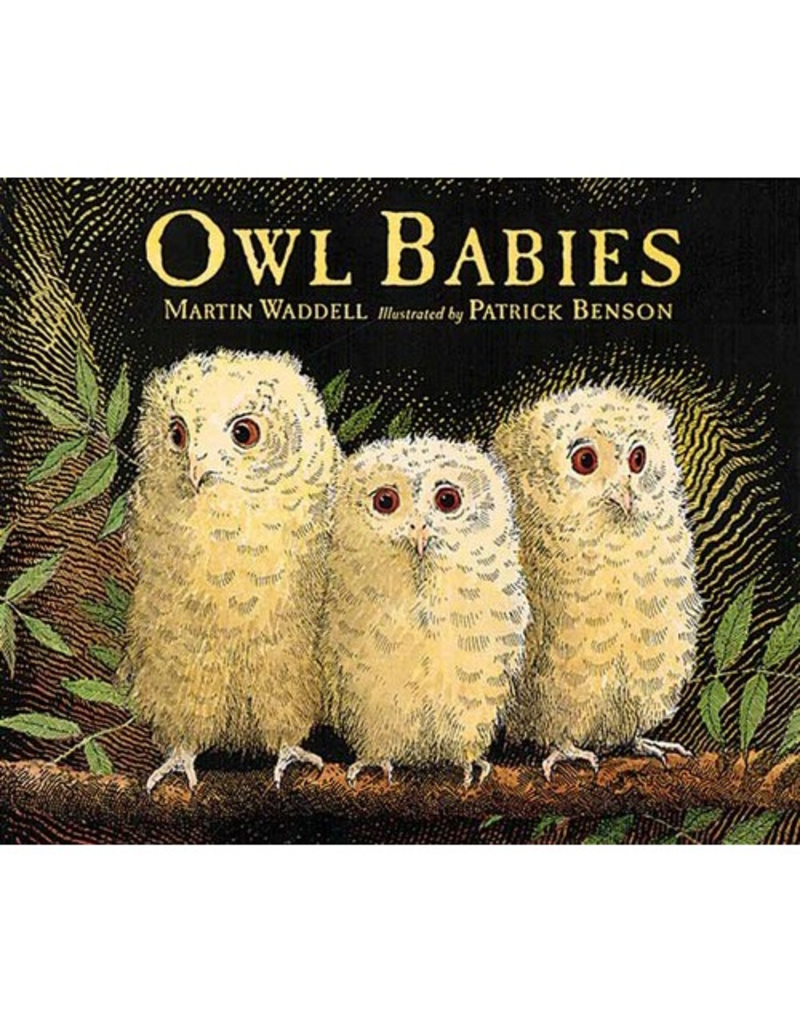 Random House Owl Babies