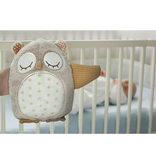 Cloud B Cloud B Nighty Night Owl Smart Sensor