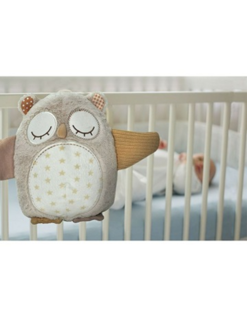 Cloud B Cloud B Nighty Night Owl Smart Sensor