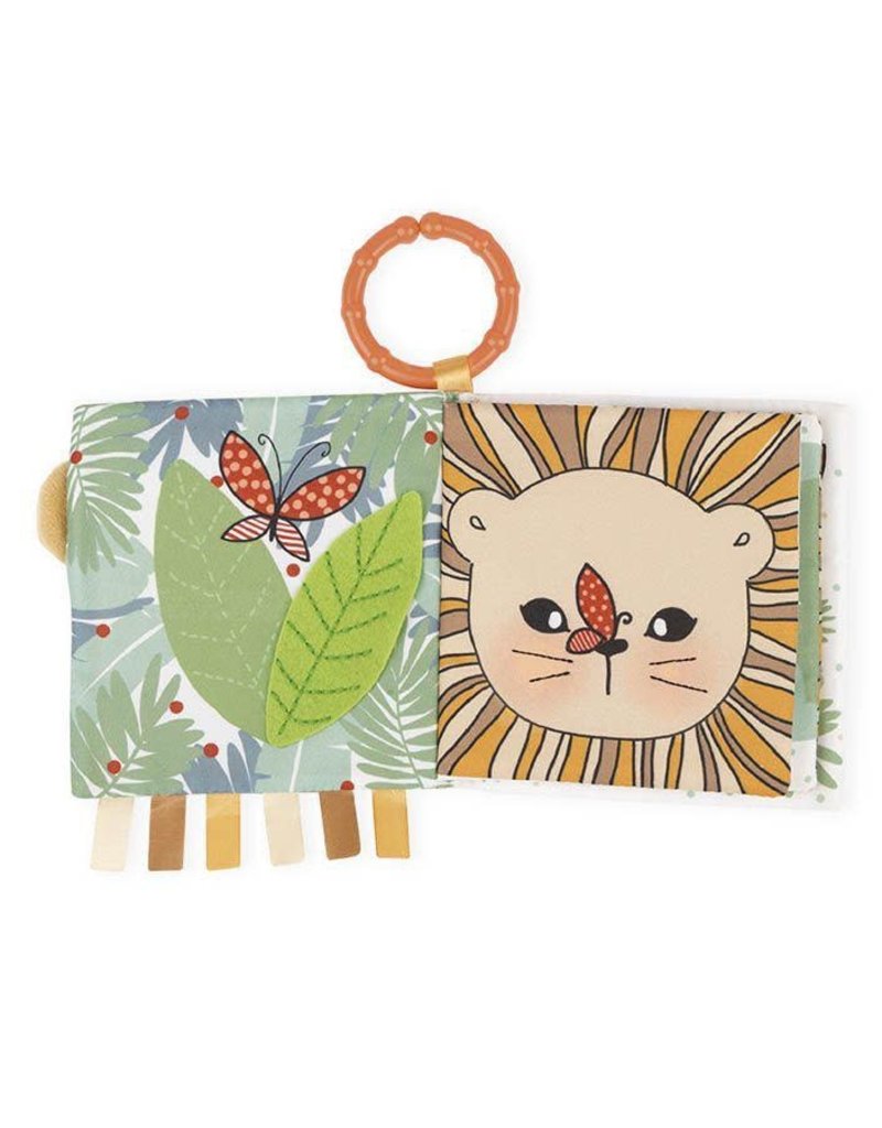 Activity Book - The Curious Lion