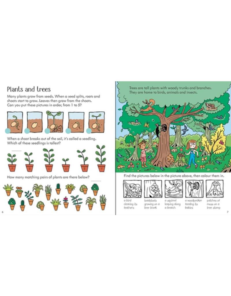 Usborne Little Children's Nature Activity Book