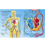 Usborne See Inside Your Body
