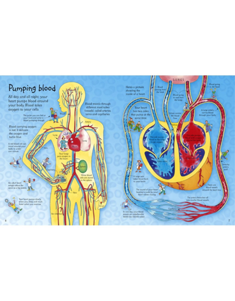 Usborne See Inside Your Body